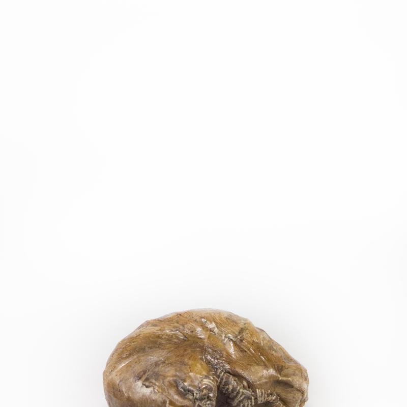 MOLHO DE ARROZ (MORCELA DE ARROZ OU BUCHO)