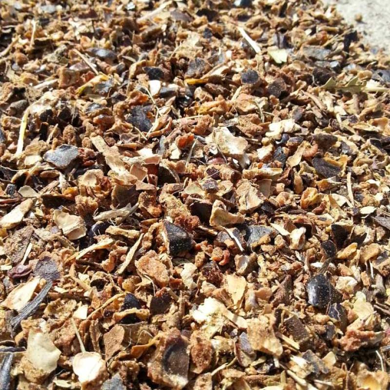 triturado de alfarroba