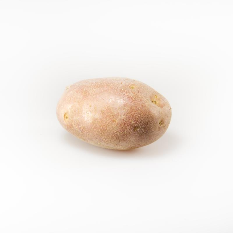 BATATA (PRIMOR, ROXA, DOCE)