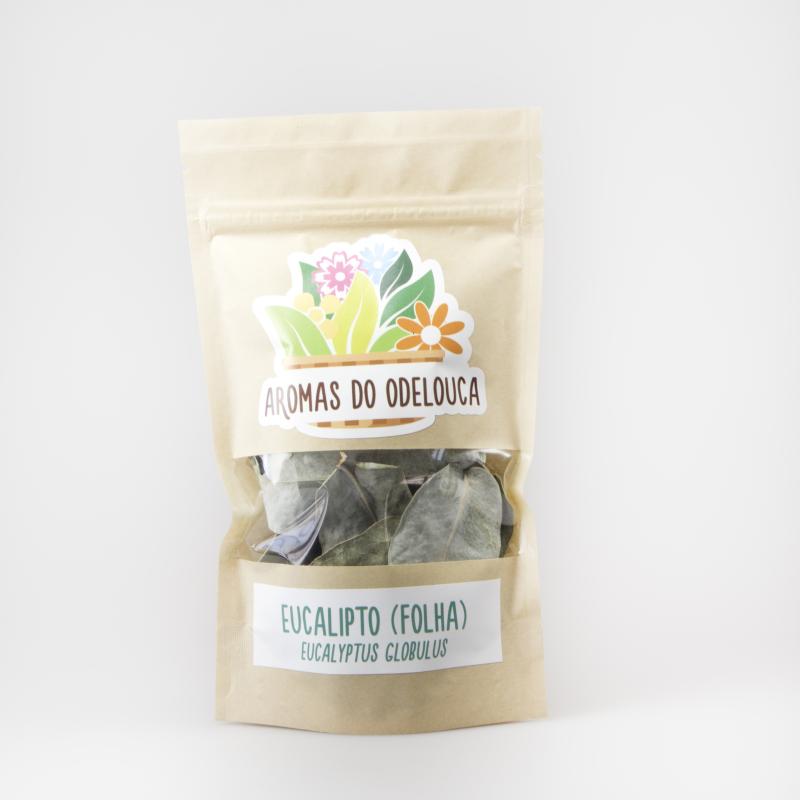 EUCALIPTO (FOLHA)